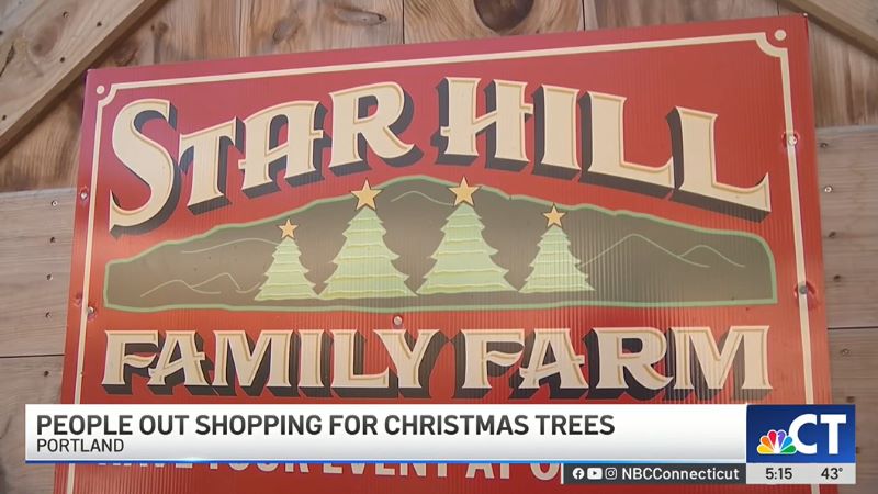 Star Hill Featured on Connecticut NBC 30 for Black Friday Christmas Tree Shopping